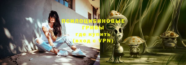 не бодяженный Белокуриха