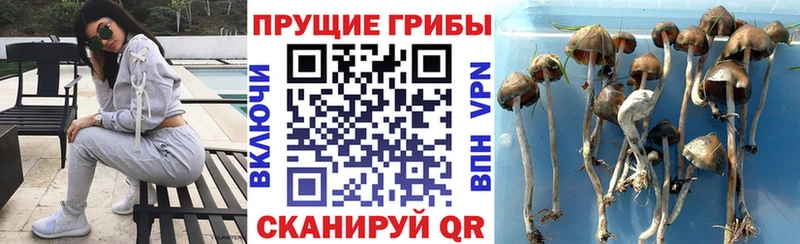 Галлюциногенные грибы прущие грибы  купить  сайты  Завитинск 